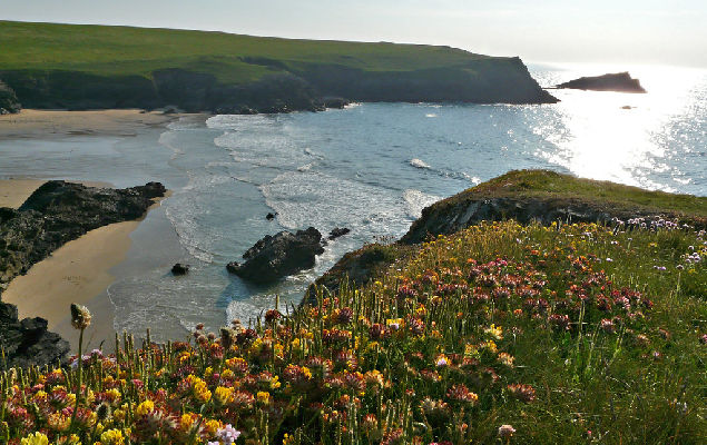 Kernow a'gas dynergh!